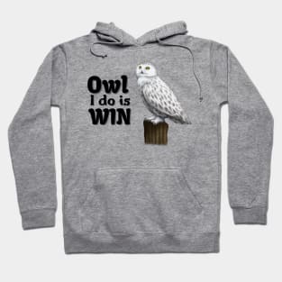 Owl I Do Is Win Hoodie